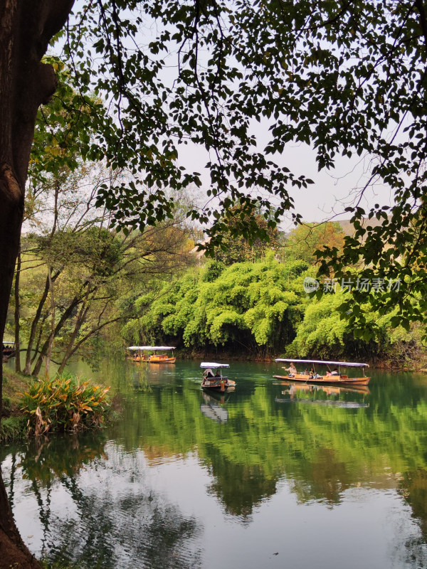 浴鹄湾上船只与周边绿植风景