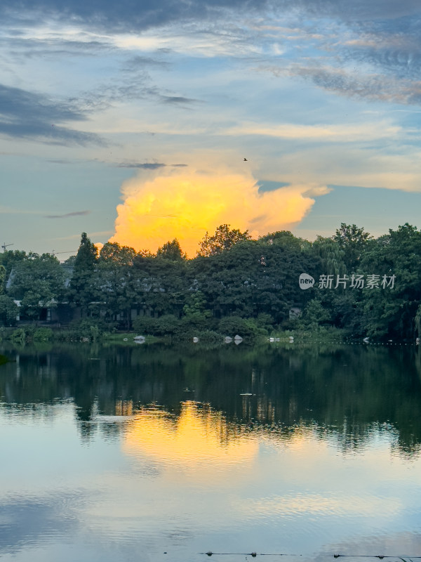 夕阳西下的天空衬托下树木的轮廓