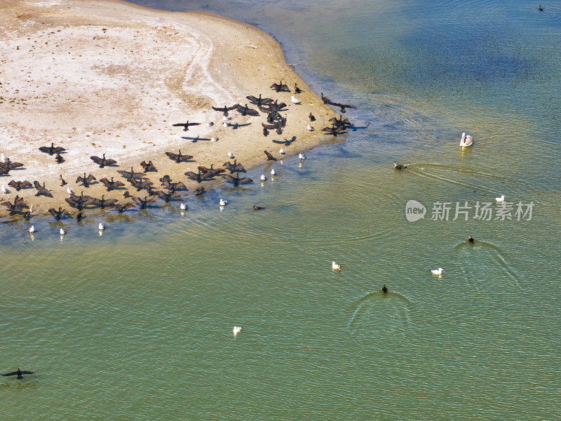 新疆乌伦古湖候鸟湿地保护区