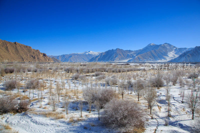 中国西藏冬季拉萨河雪景