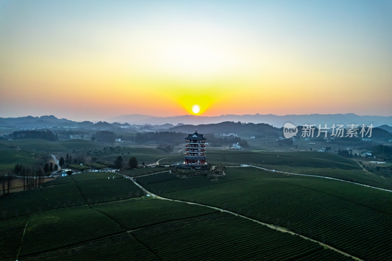 贵州遵义湄潭茶海
