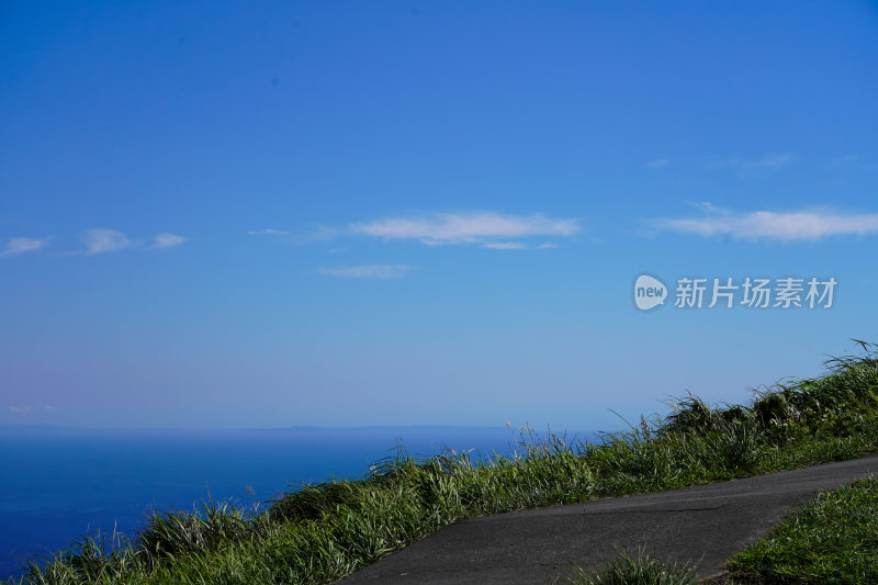 日本静冈县伊东市大室山仙人掌动物园