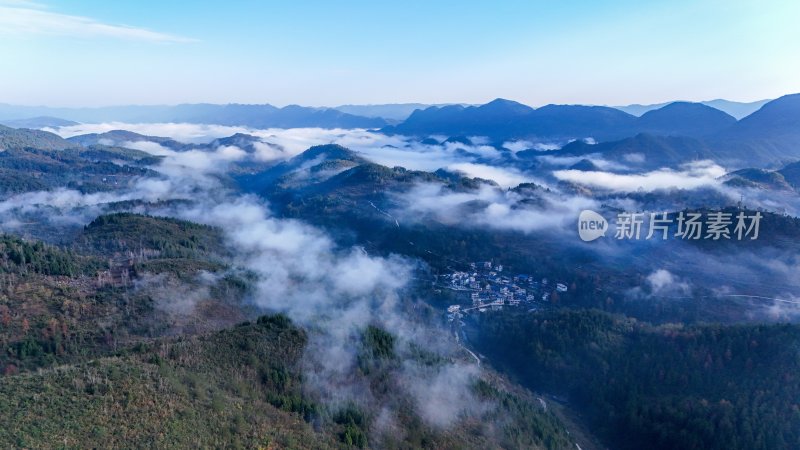 重庆酉阳：雾中枫叶红似火