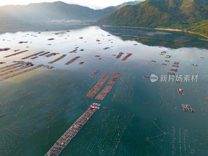 大海海洋清晨航拍图