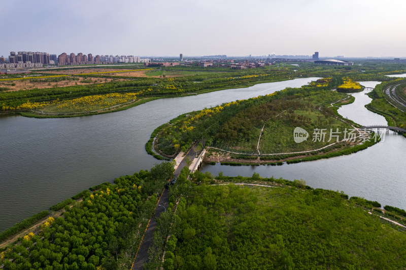 天津海河教育园区湿地公园自然风光航拍