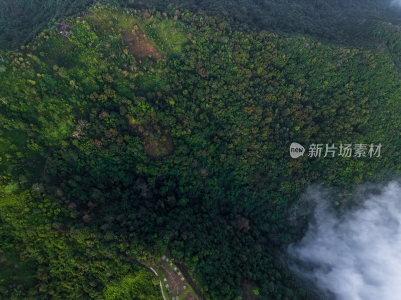 航拍山间云雾中的森林