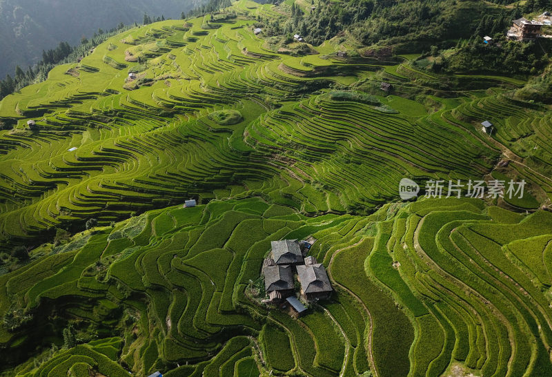 贵州黔东南从江县加榜梯田田园风光