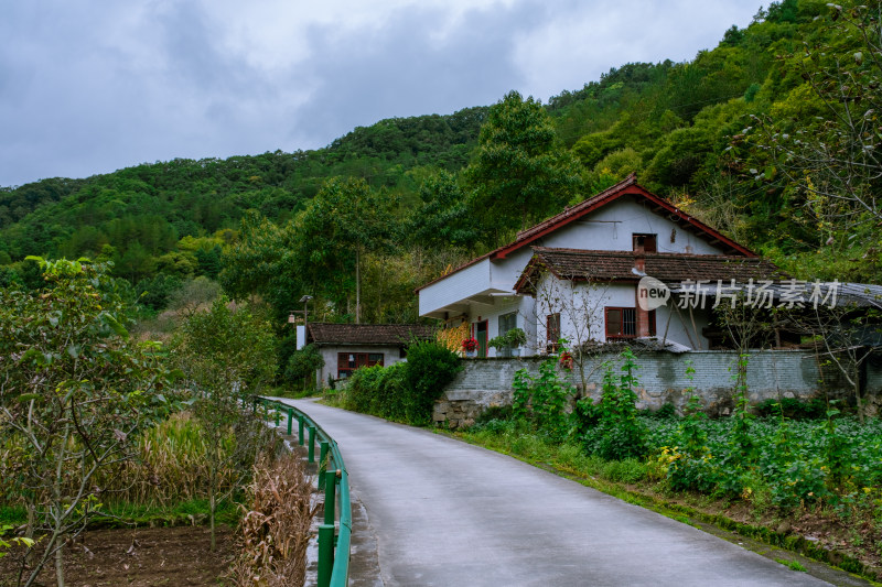 汉中留坝火烧店镇秦岭深处的山中乡村小路