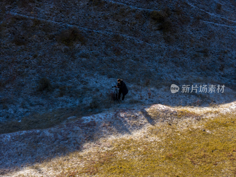 四川新都桥秋天早晨下雪积雪彩林