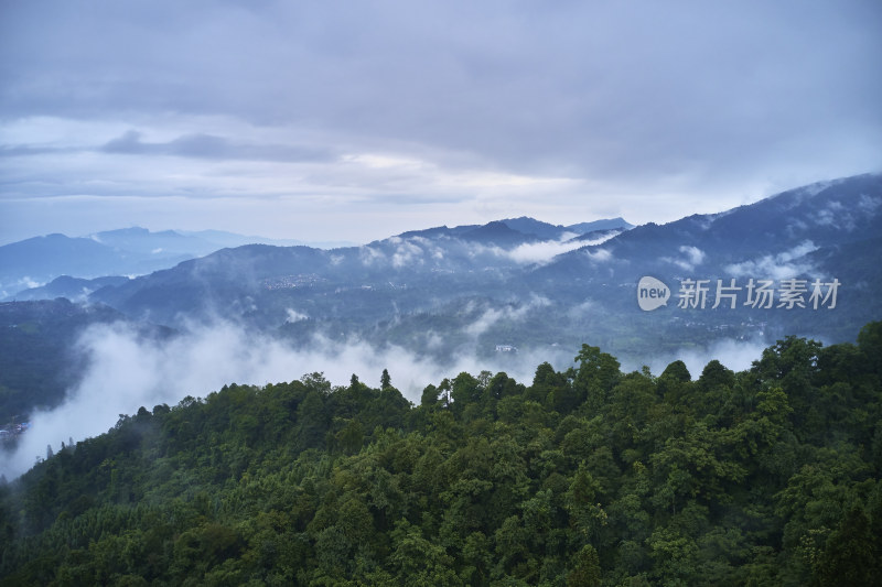 峨眉山的原始森林