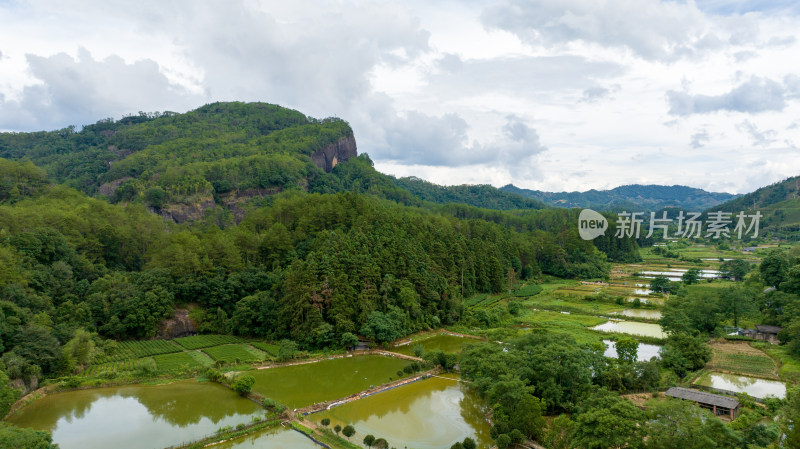 航拍武夷山绿色农田与茶园