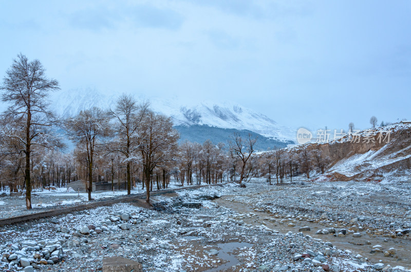 青海海北藏族自治州祁连卓尔山乡村树林雪景