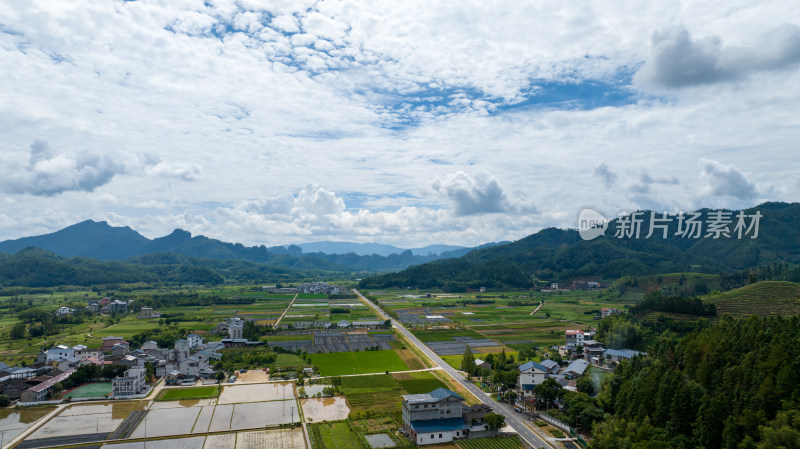 航拍武夷山绿色农田与茶园