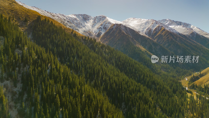 航拍雪山森林河谷自然风景