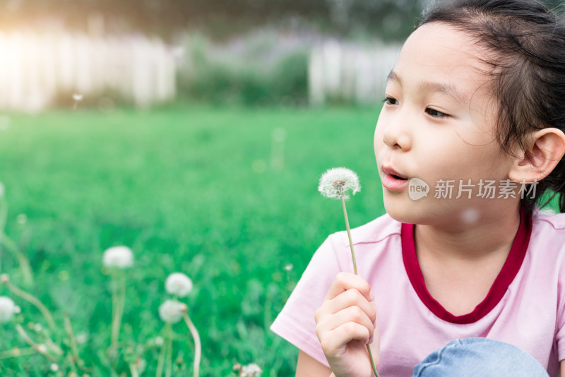 坐在草地上玩蒲公英的中国女孩