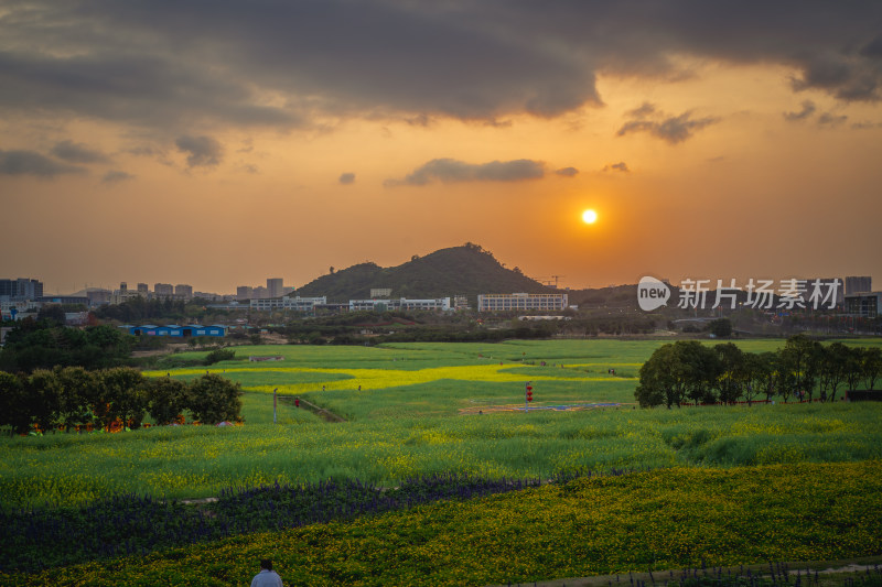 田野日落自然风光