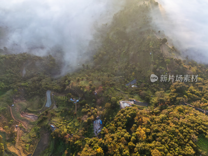 航拍景迈山云雾缭绕的村庄古寨自然风光