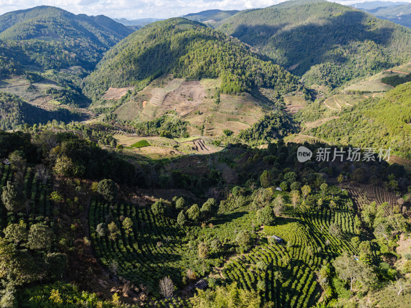 航拍山间绿意盎然的田园风光