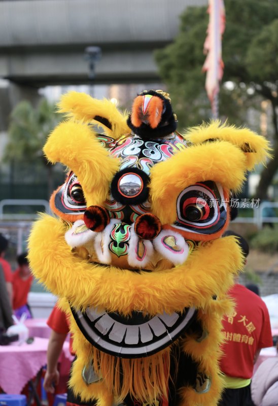 舞狮头套特写，传统民俗文化韵味十足