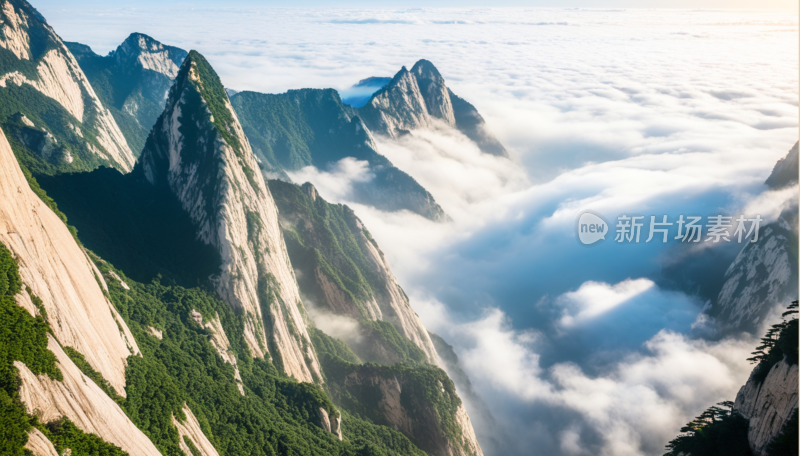 华山云海