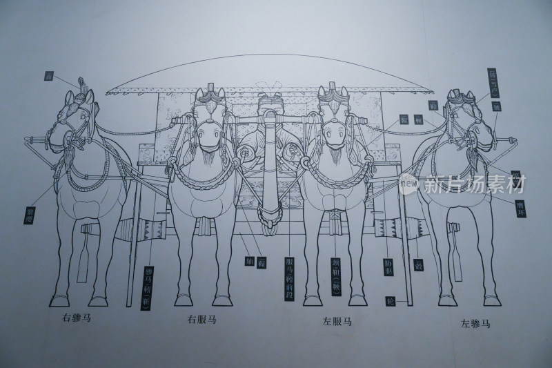 秦始皇陵兵马俑博物院