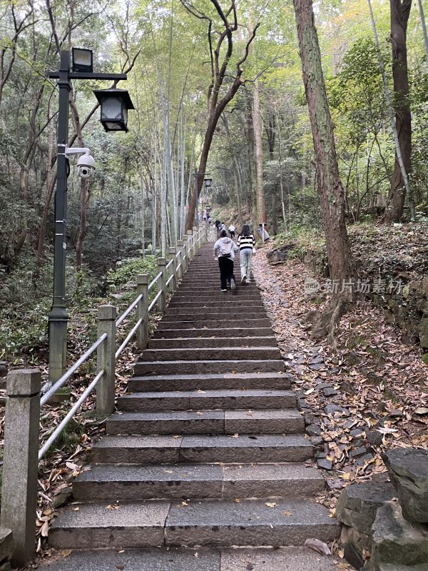 实拍杭州飞来峰爬山台阶