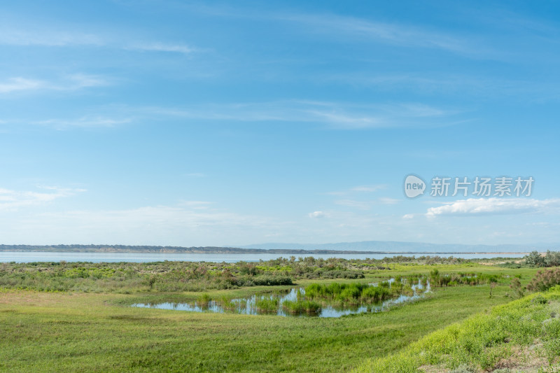 新疆乌伦古湖风景