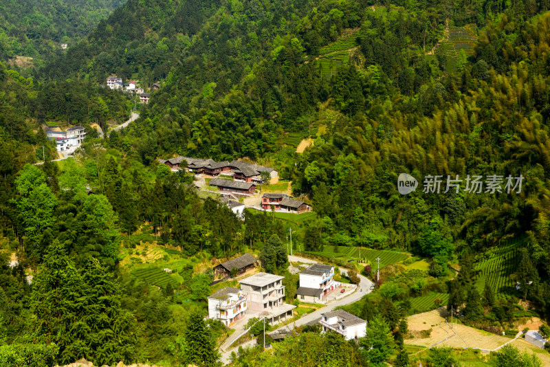 大山山峰农村农业农民茶园