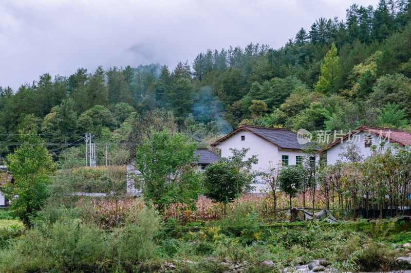 汉中留坝火烧店镇秦岭深处的山村田园风光