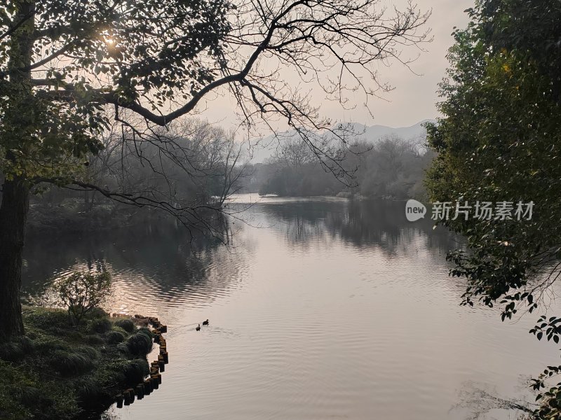 湖边树木环绕的宁静湖泊景观