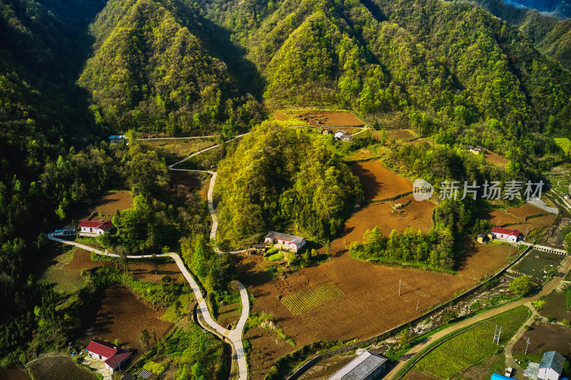 湖南神农架林区太阳坪自然保护区长坊村