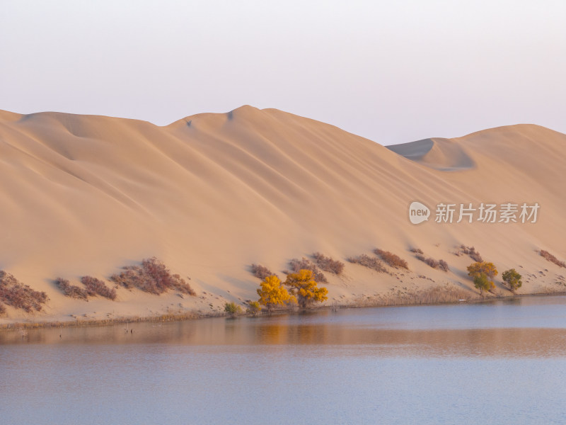 新疆南疆巴州塔克拉玛干沙漠沙丘航拍