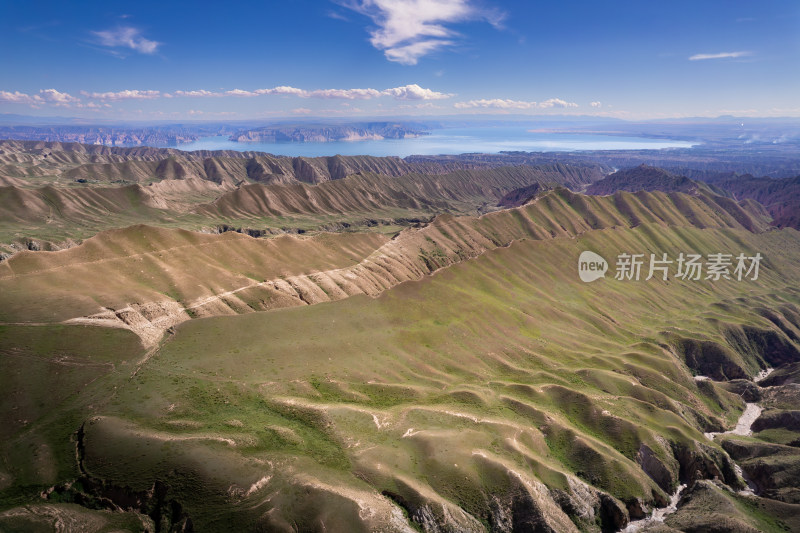 青海高山牧场