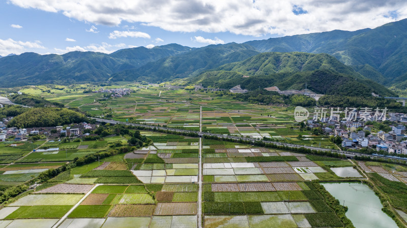 水稻种植基地的风光，航拍的视角美丽乡村