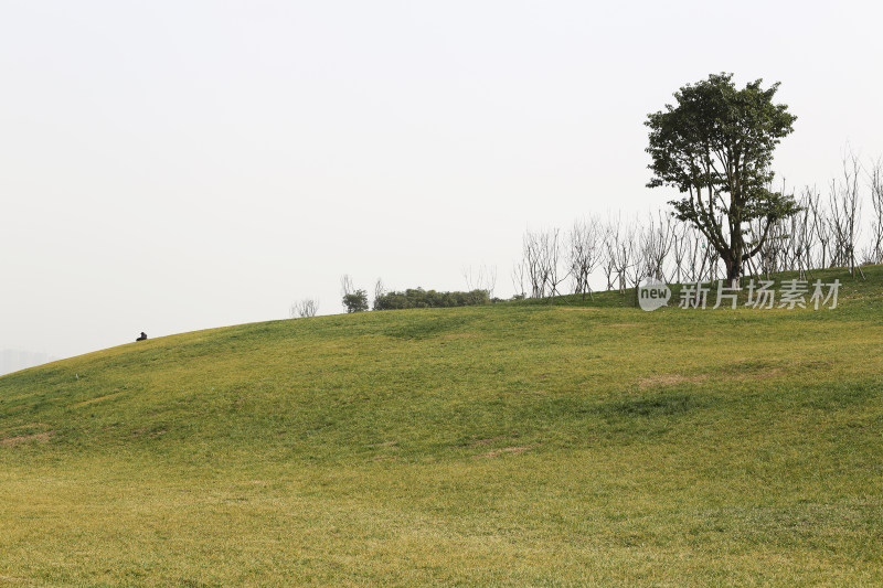 空旷的山坡、草地和树木