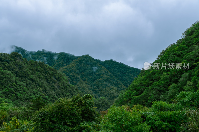 汉中留坝火烧店镇秦岭深处的山中云雾风光