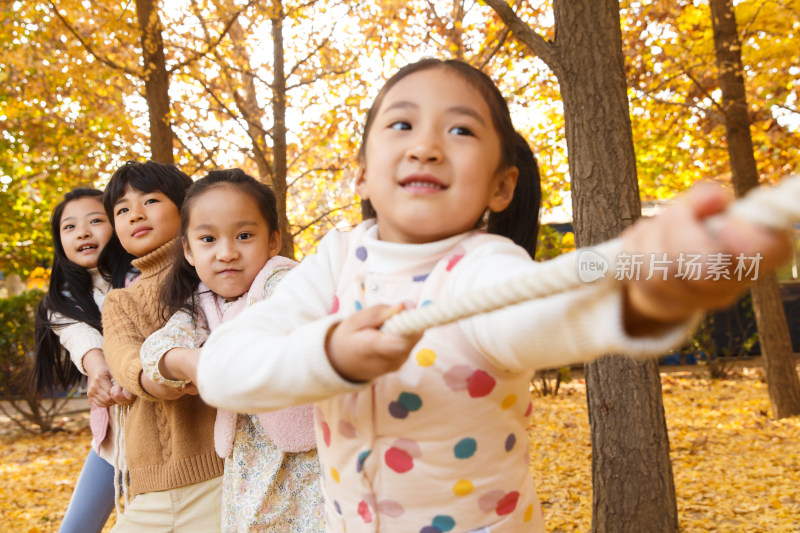 小学生在拔河比赛