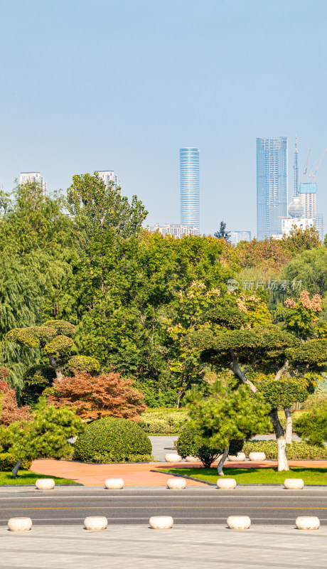 城市公园绿树与远处高楼景观