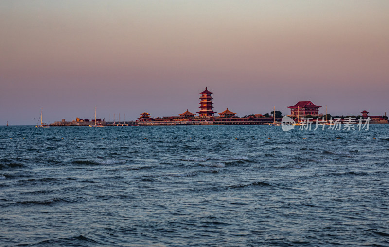 山东烟台蓬莱阁八仙过海景区海天之间海鸥