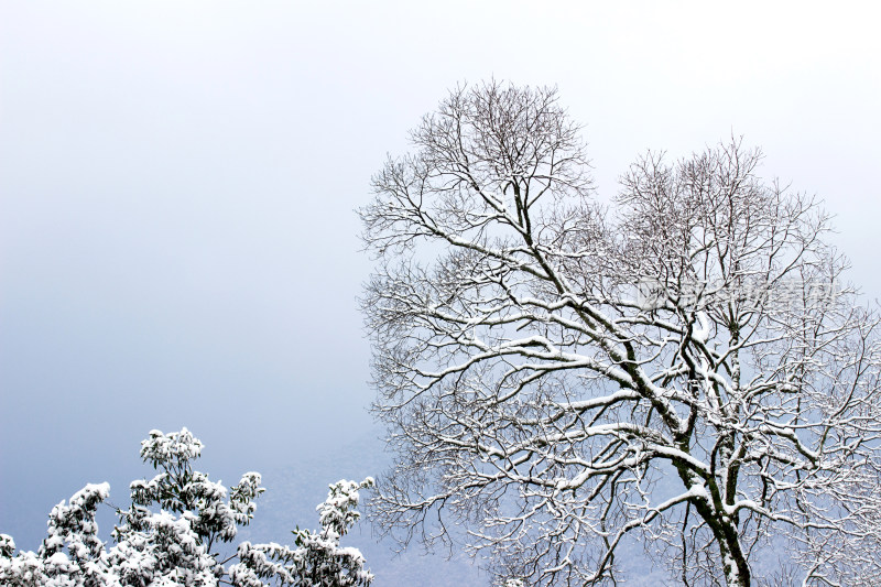 雪后的云和梯田风景