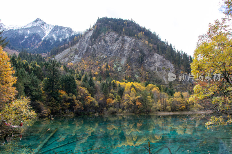 九寨沟秋色，五花海层林尽染湖光山色