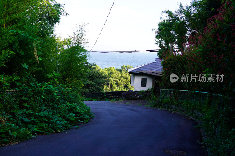 日本静冈县伊东市城崎海岸门胁吊桥一户建