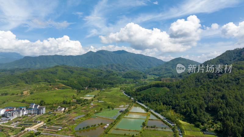 航拍福建南平武夷山森林