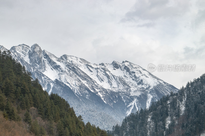 川西雪山特写