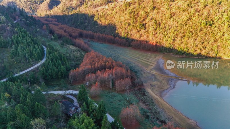 重庆酉阳：天山堡水杉红似火