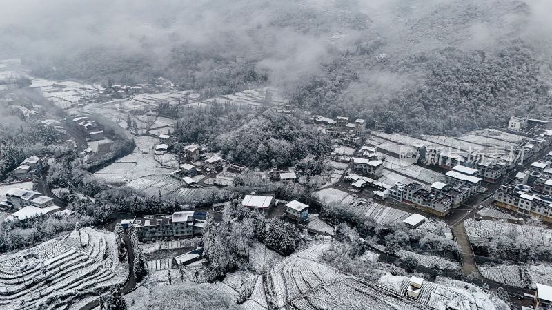 重庆酉阳：大雪纷飞赏雪忙