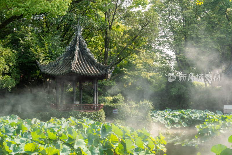 中式风格的古建筑园林上海青浦曲水园景色