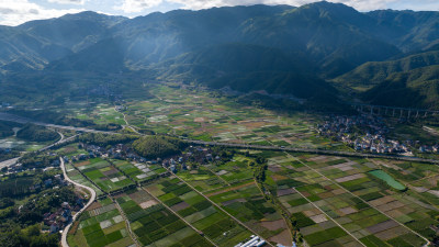 航拍乡村绿色稻田 乡村振兴