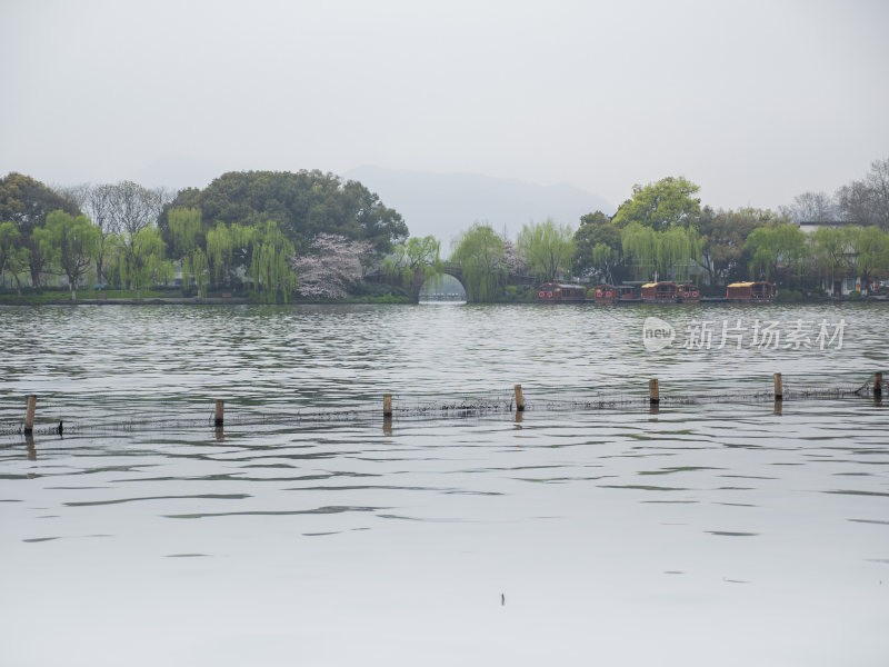 杭州西湖西泠桥风景