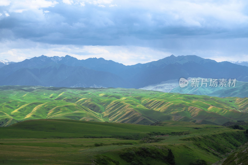 中国新疆伊犁喀拉峻大草原自然风景